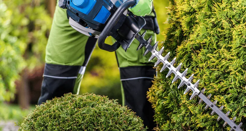 Contrats d’entretien pour jardin