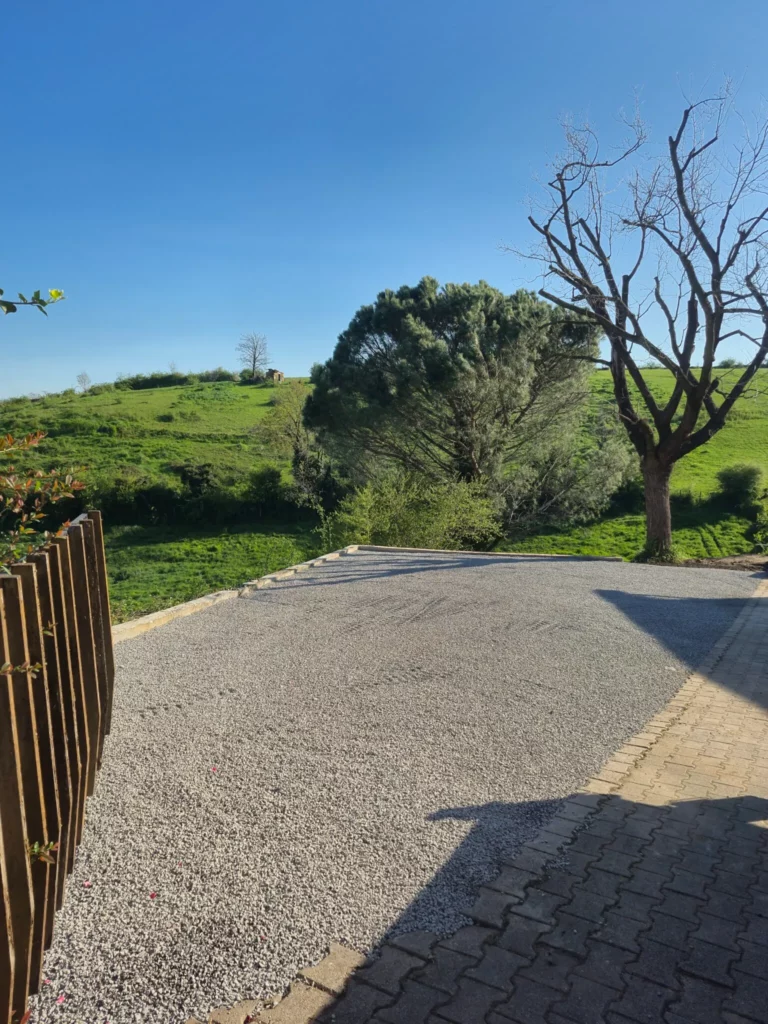 Entretien d'un jardin à Genilac