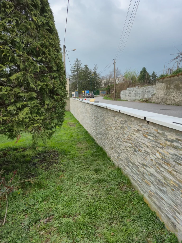 Entretien d'un jardin de villa à Genilac