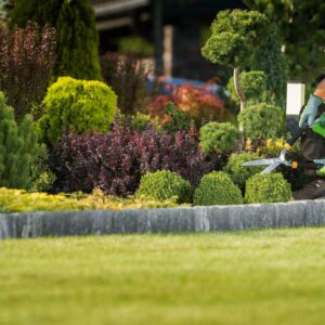 entretien d'espaces verts