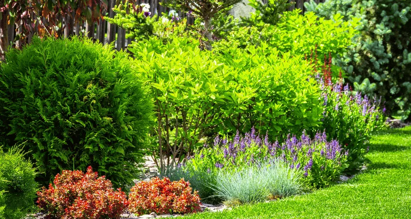 conception de jardin