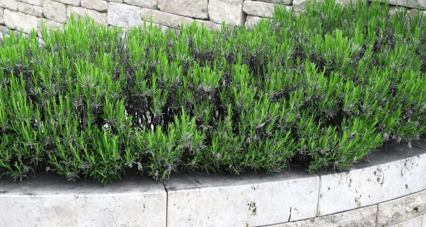 maçonnerie paysagère